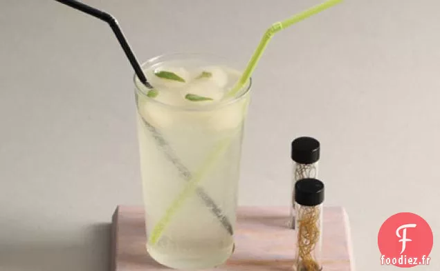 Soda au Citron Laskey avec Glaçons au Laurier