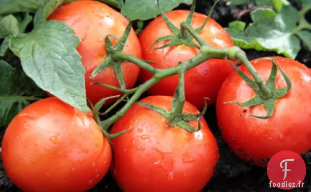 Cuisinez le Livre: Des tomates Toutes habillées pour l'été