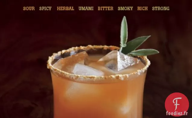 Cocktails salés: Umami à base de Plantes Épicé Aigre Riche en Fumée Amère Fort / Cadeau et Questions-réponses avec l'Auteur