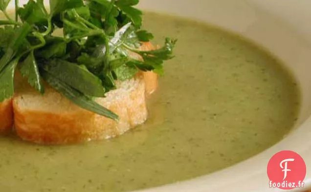Soupe Crémeuse de Courgettes aux Herbes Mélangées
