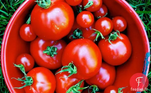 Salade de Tomates Gorgonzola