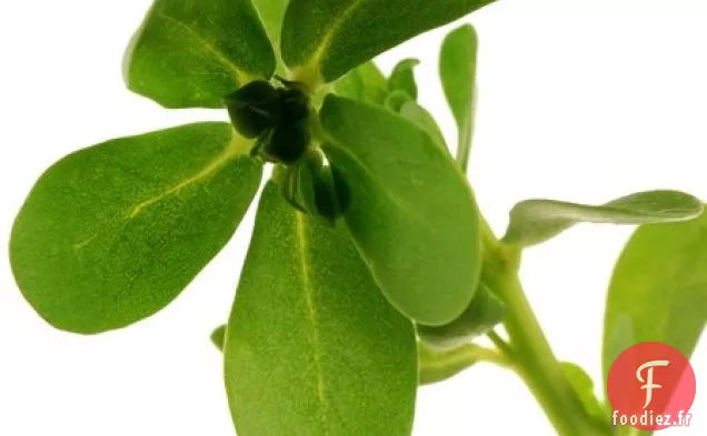 Salade Purlsane, Tomate Et Fetta Persane