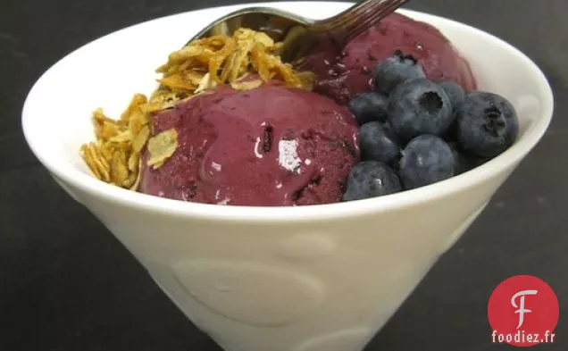 Yogourt Glacé à la Gousse de Vanille aux Myrtilles