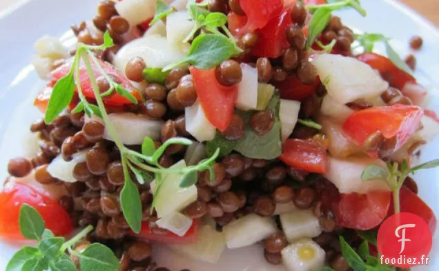 Salade de Lentilles Brillantes aux Pommes, au Fenouil et aux Herbes