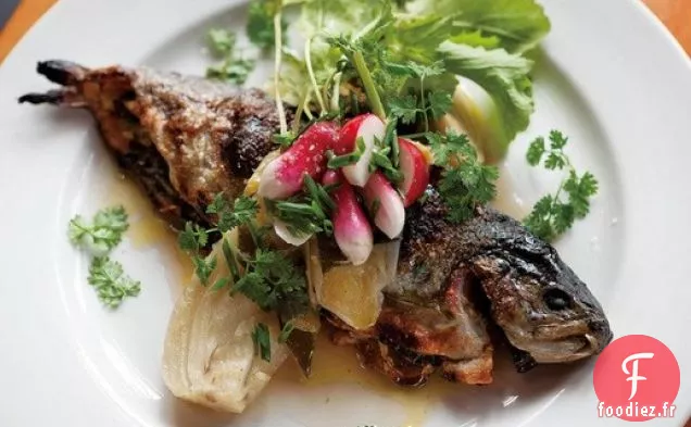 Truite Rubis Farcie de Ned Ludd, Fenouil, Oignons verts et Herbes