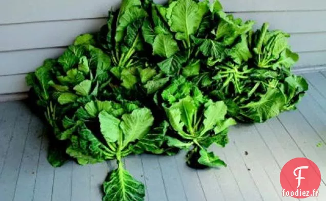 Les Collards à quatre poivrons de Matt de la cuisine Lee Bros. Charleston