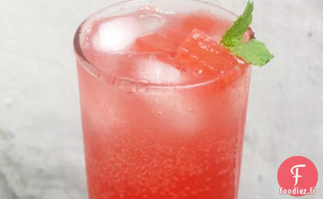 Arbuste à la Pastèque et à la Menthe avec Cuillère à Pastèque