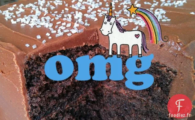 Gâteau au Fudge Wellesley