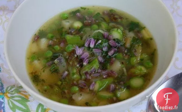 Soupe de Jardin de Printemps