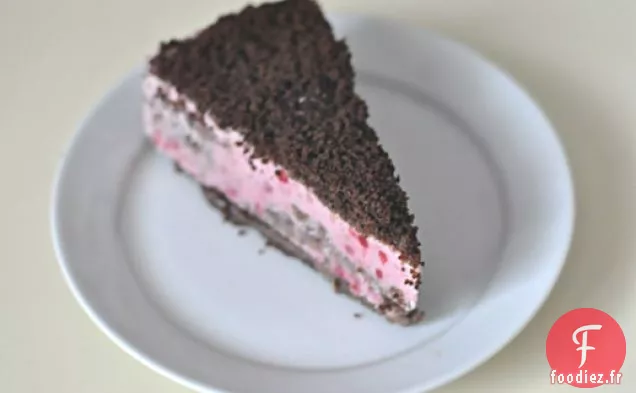 Gâteau À La Crème Glacée Aux Framboises Maison Avec Croûte De Miettes De Chocolat