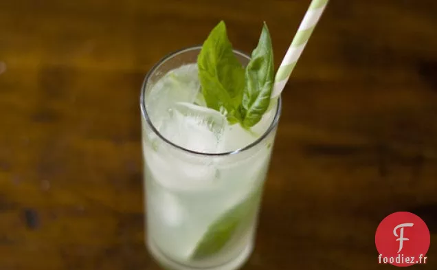 Refroidisseur de Lime au Basilic