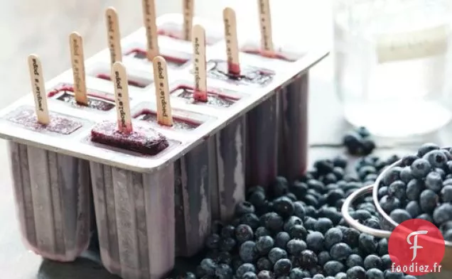 Pop de Moonshine aux Myrtilles