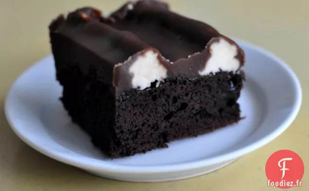 Bumpy Cake (Gâteau au Chocolat avec Crème au Beurre à la Vanille et Fudge au Chocolat)