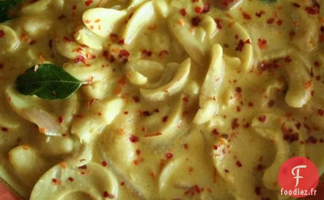 Curry de Noix de Cajou de S. H. Fernando Jr.