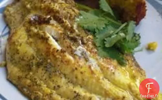 Poisson-Chat Grillé à la Grecque de Big Ray