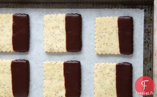 Carrés de Graines de Pavot Avec Pointes de Chocolat