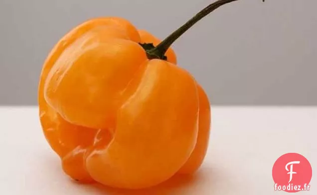 Habanero - Dinde Rôtie Saumurée