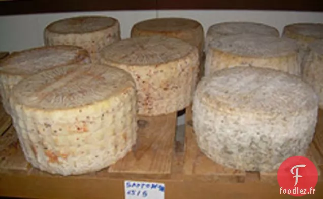 Cuisiner le livre: Crème Pâtissière Pecorino à la sauce Tomate