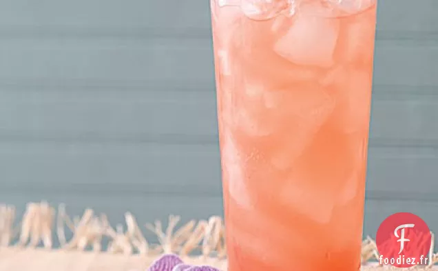 Orchidée Royale