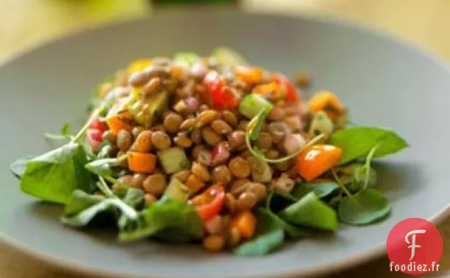 Salade de Légumes Grillés aux Lentilles