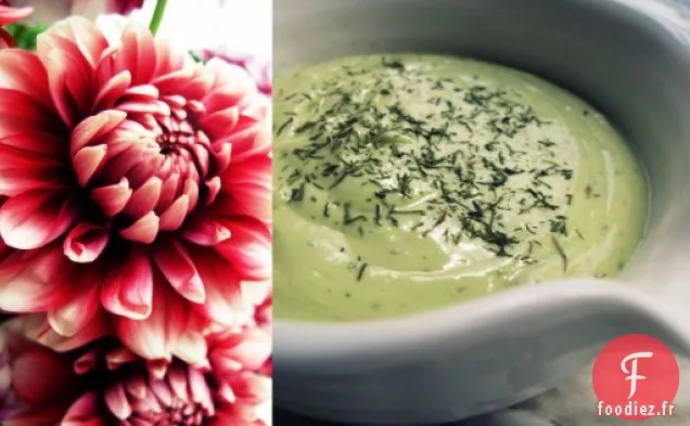 Vinaigrette Crémeuse Et Acidulée à l'Avocat