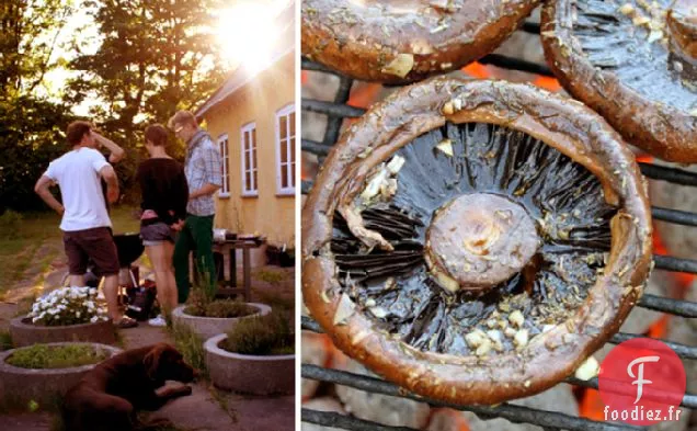 Champignons Magiques Portobello Grillés
