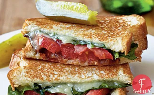 Sandwichs au Fromage Grillé pour Adultes