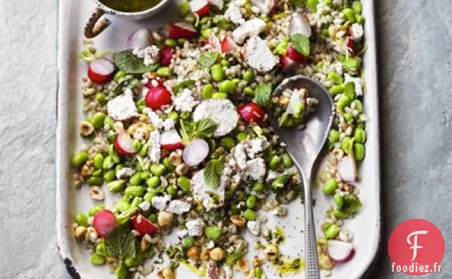 Salade de fèves, orge et menthe