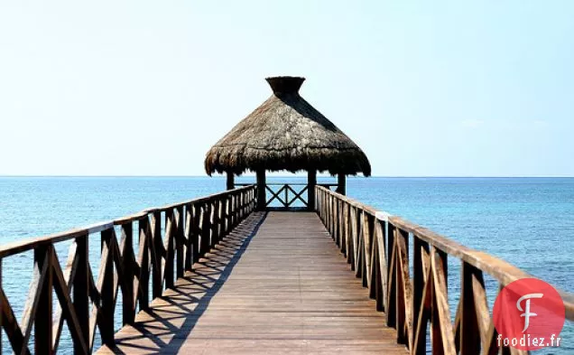 Salade de Confettis de Haricots Noirs