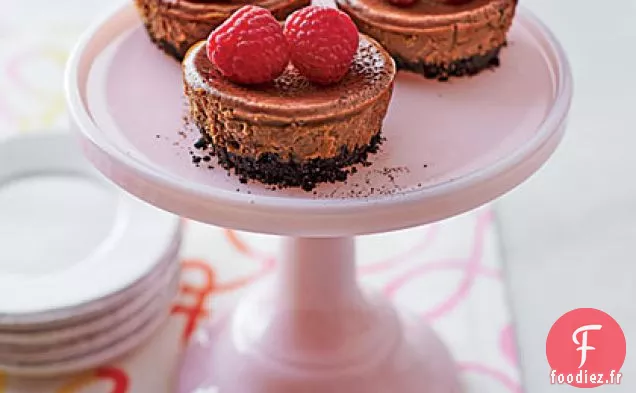 Mini Gâteaux au Fromage Au Chocolat Mexicain