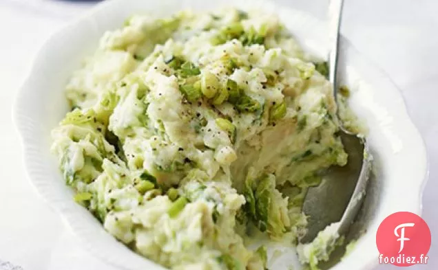 Champ de pousses et d'oignons nouveaux