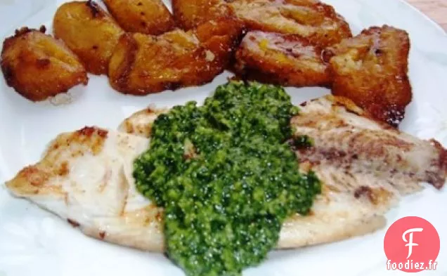TILAPIA AU PESTO DE CORIANDRE (TILAPIA À LA PLANCHA AVEC PESTO DE CORIANDRE)
