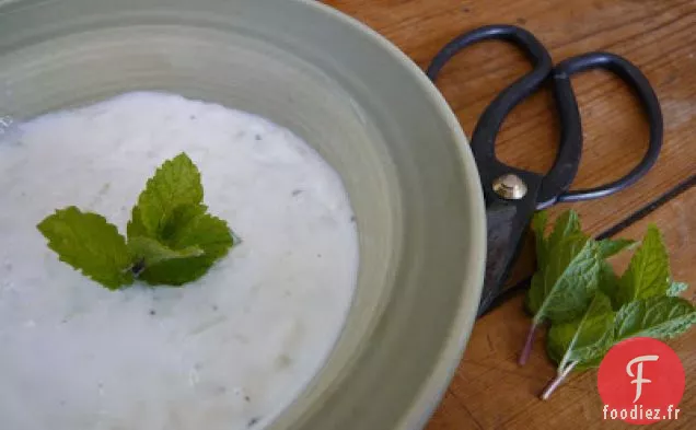 Tzatziki Au Citron Et au Concombre
