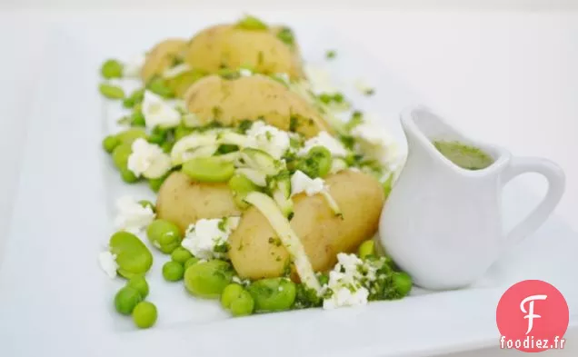 Salade de Charlotte Verte