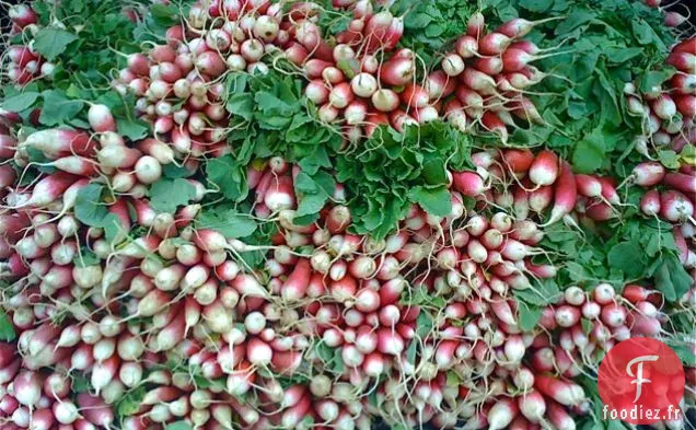 Salade de Radis au Concombre Flétri Acidulée