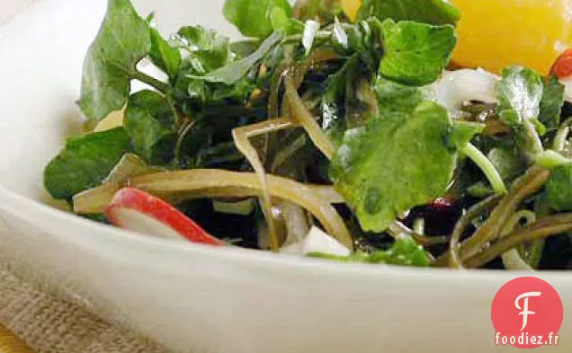Salade de Cresson au Fenouil et aux Agrumes