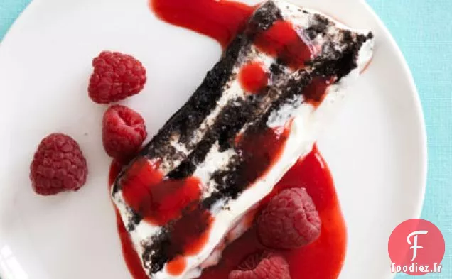 Gâteau Glacé Au Chocolat À La Sauce Aux Framboises