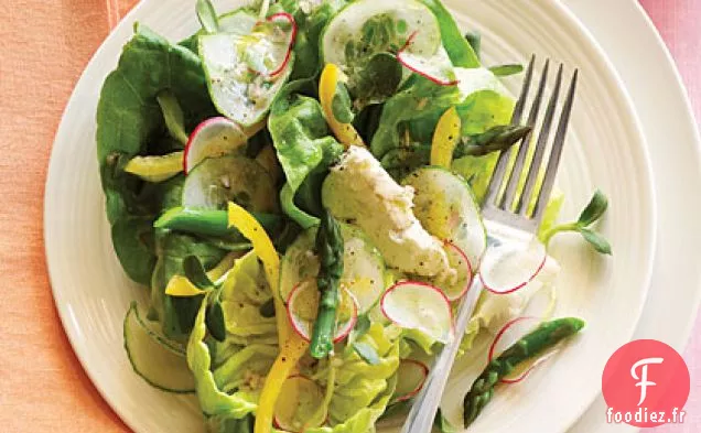 Salade de Pousses de Tournesol