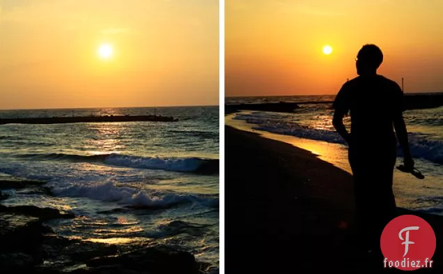 Tzatziki - Trempette Au Yogourt Grec Et Au Concombre