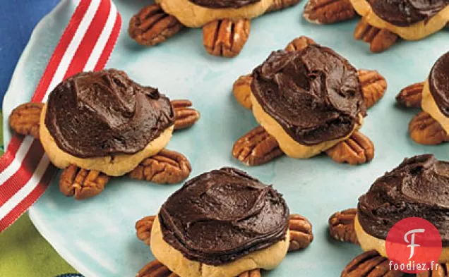 Biscuits à la Tortue Givrée