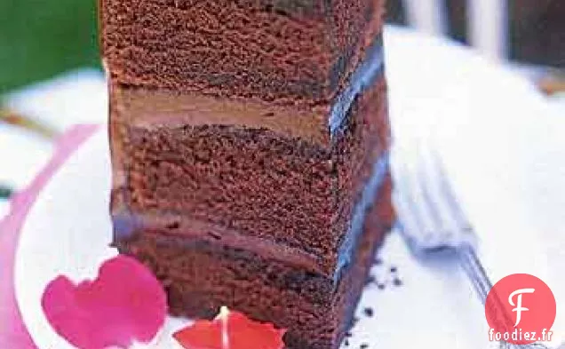 Gâteau à la Ganache au Chocolat