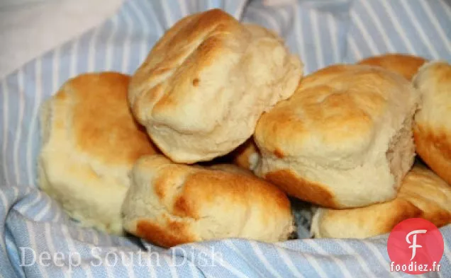 Biscuits de Levure de Mélange de Cuisson