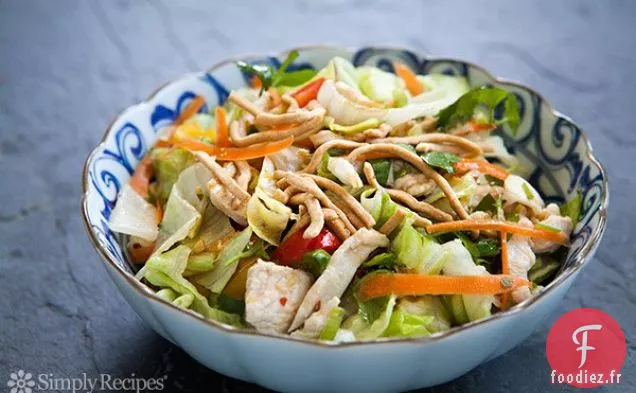 Salade de Poulet Chinois Facile avec Nouilles Chow Mein