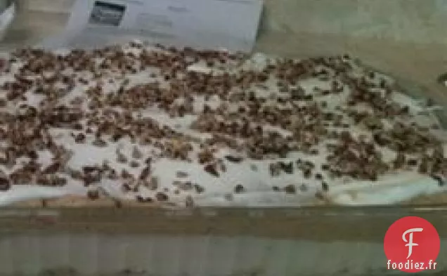 Gâteau au Fromage à la Citrouille I