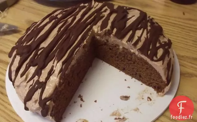 Gâteau à la Crème Glacée Fondue au Fudge aux Amandes Et Moka Végétalien
