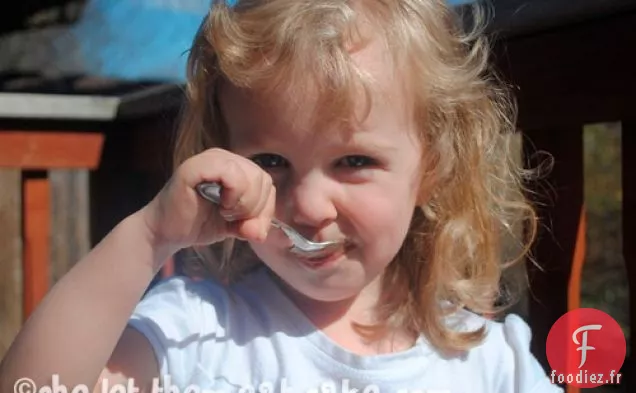 FRAWsties ou Fudgesicles au Chocolat sans produits laitiers