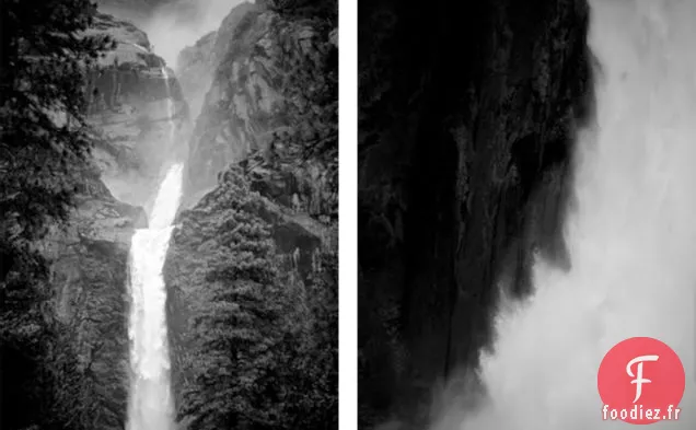 poulet rôti au feu de camp avec oignon fleuri et aneth