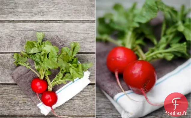 The Crisper Whisperer : Qu'est-Ce qu'Une Cucuzza