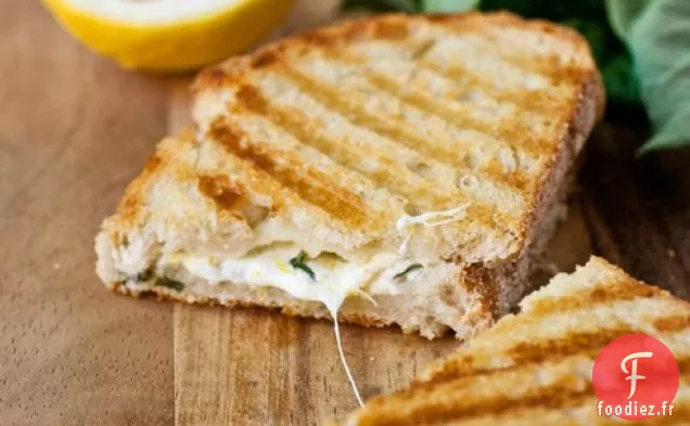 Panini au Fromage Grillé au Citron et Basilic
