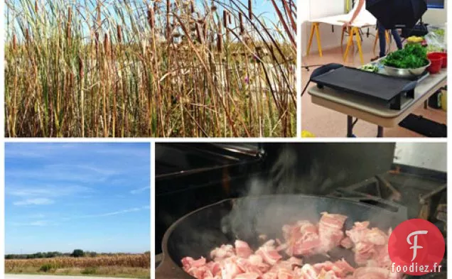 Fromage Grillé au Kimchi + Juger le Grand concours de Fromage grillé du Midwest